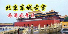 美女爱大屌中国北京-东城古宫旅游风景区